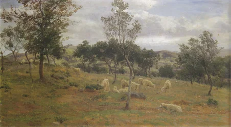 Paisaje italiano con olivos